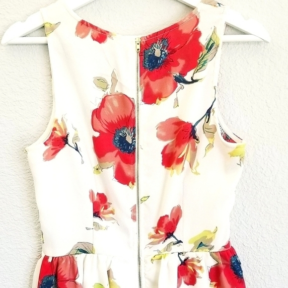 Gabriella Rocha Floral Poppy Sleevless Dress - Picture 3 of 9